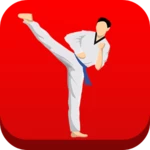 taekwondo workout at home android application logo